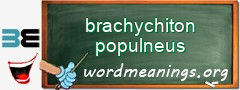 WordMeaning blackboard for brachychiton populneus